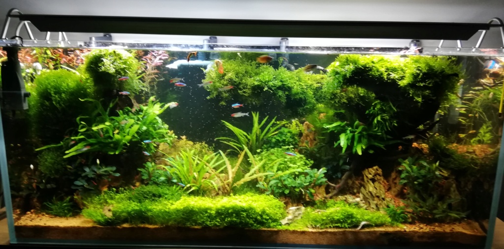 300 litres " Amasiatique " - Page 3 Photos11