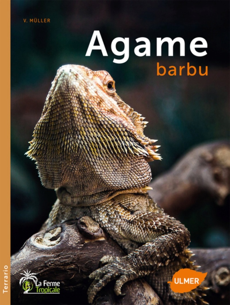 Livre sur le Pogona Vitticeps / l'Agame barbu 71e39r10