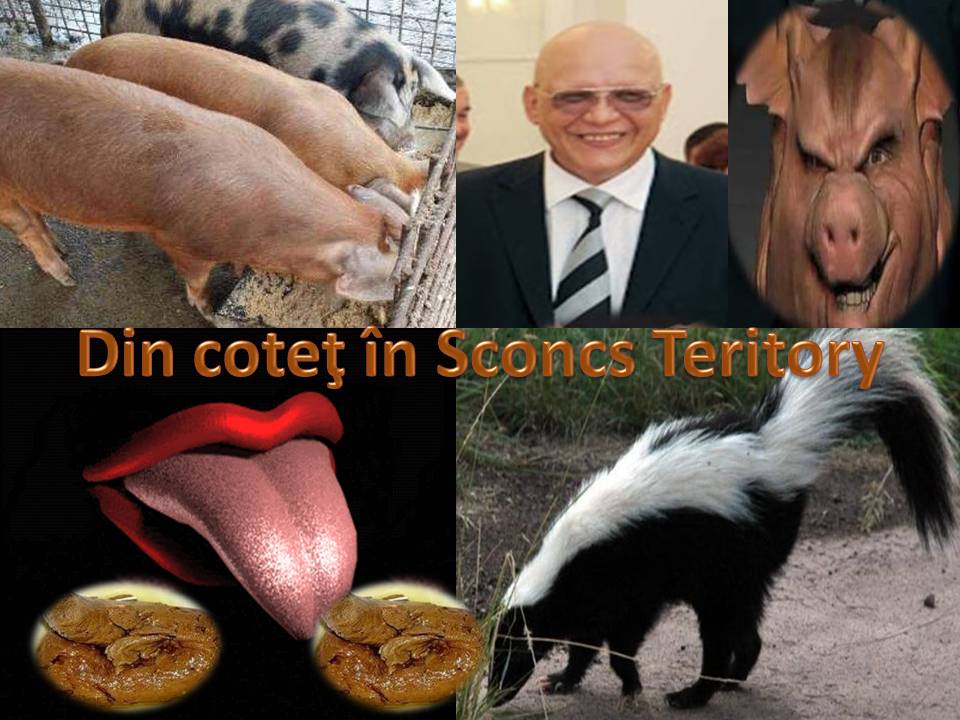 trolul SCONCS PROSPECTOR din coteţul cu diaconi Slide226