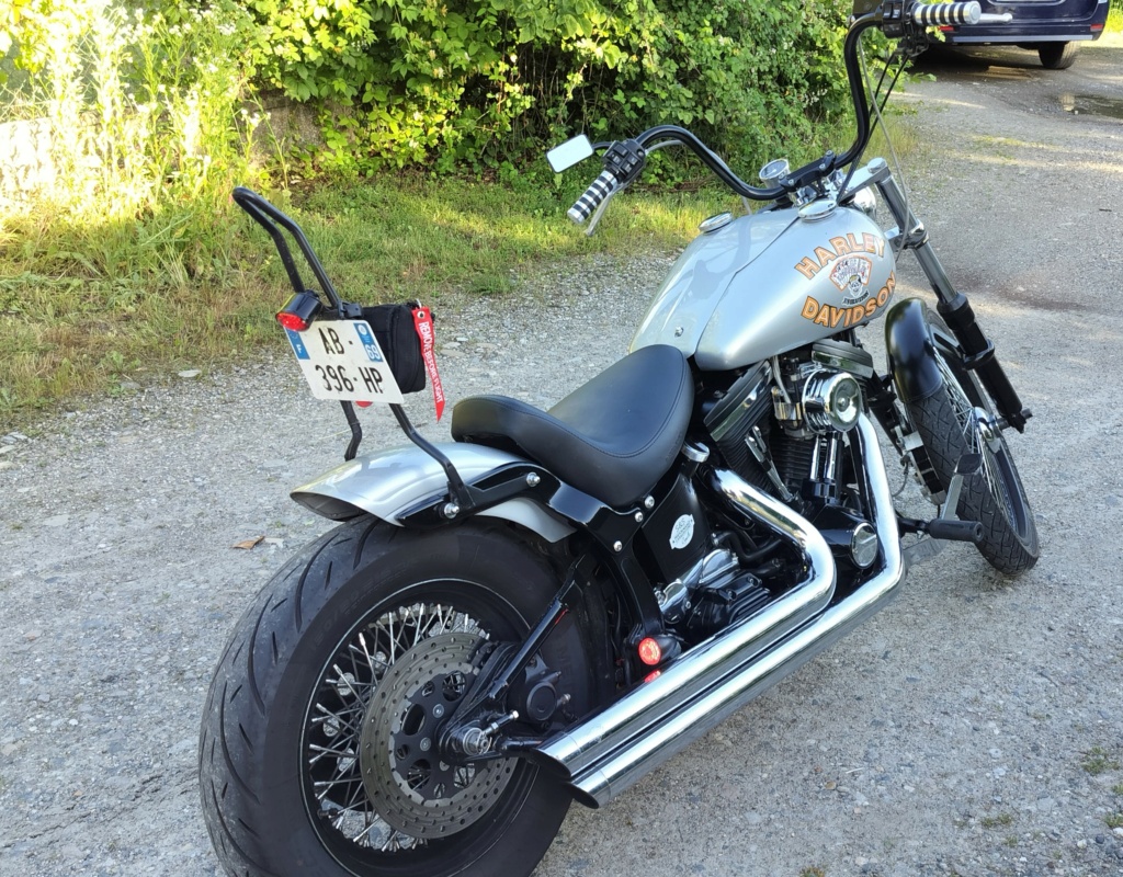 Mon softail presque finalisé Img20215