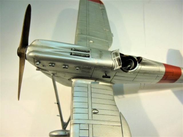 Dewoitine D-510 DoraWings 1/48. P1020111