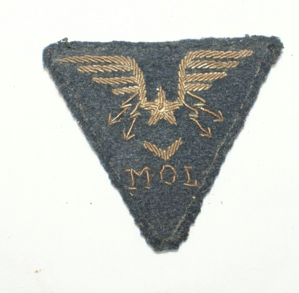 Insigne Armée de l'Air, inscription TLT Dsc00211