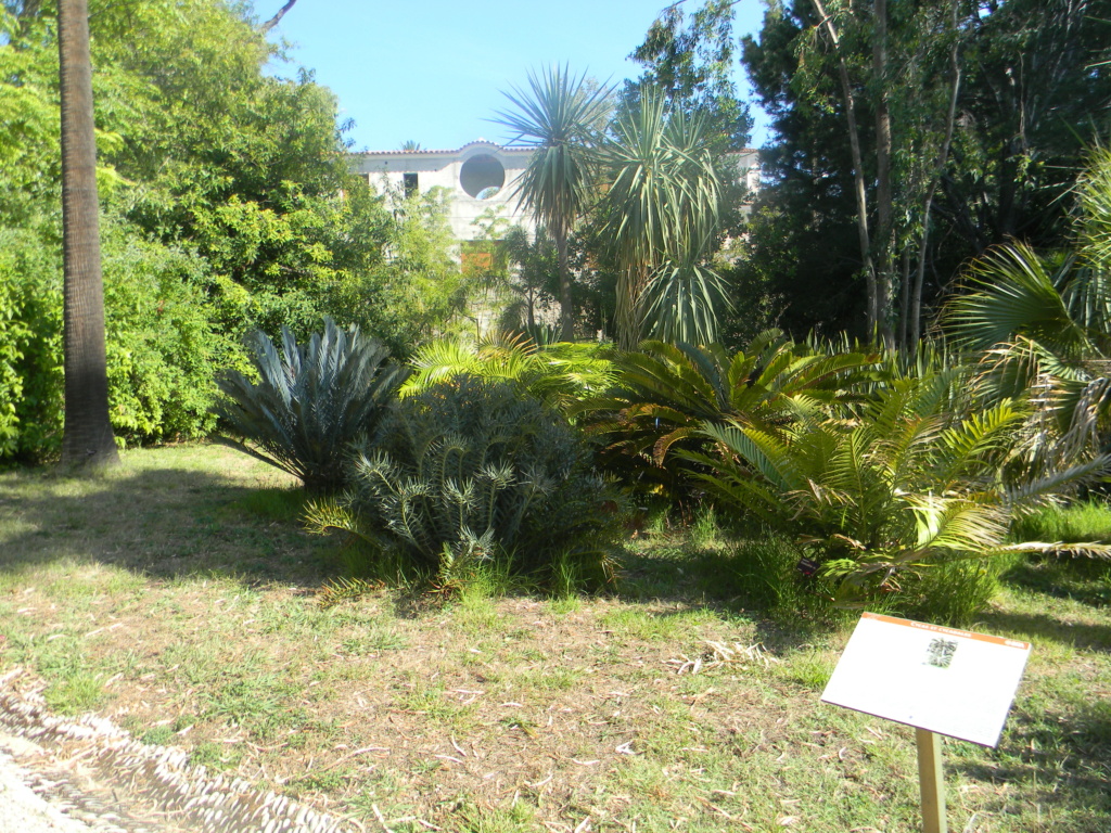 Jardin Villa Thuret à Antibes  Antibe33