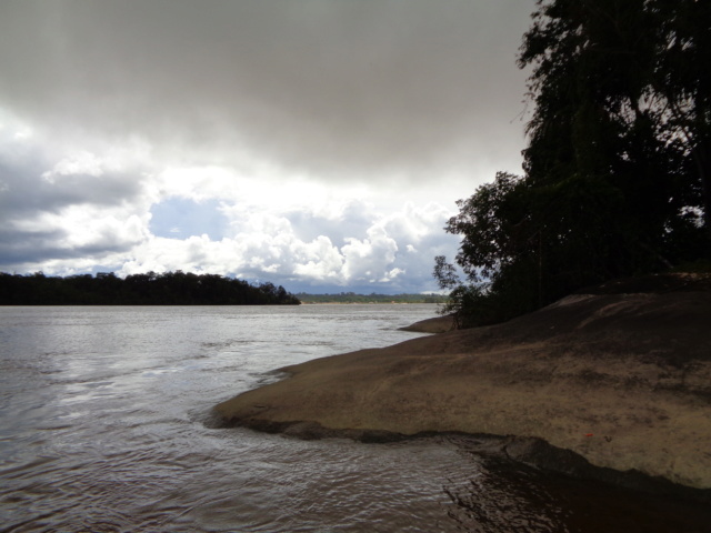 La Guyane en 2018 - Page 5 Dsc00811