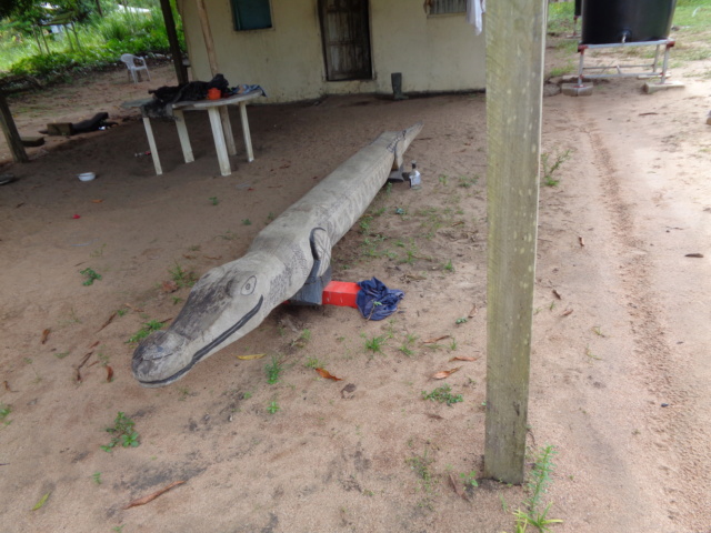 La Guyane en 2018 - Page 5 Dsc00820