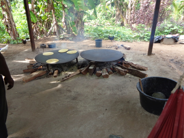 La Guyane en 2018 - Page 5 Dsc00917