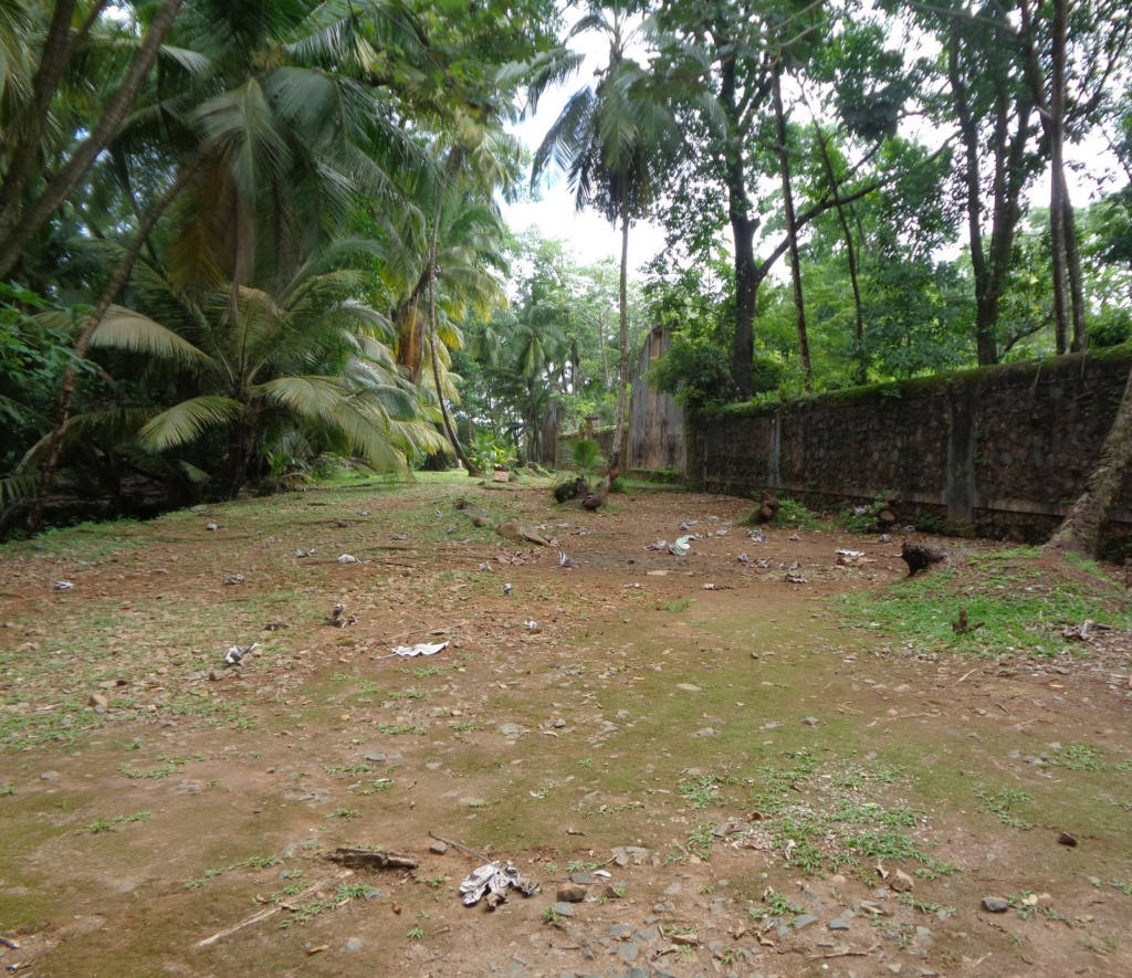 La Guyane en 2018 - Page 17 Dsc01123