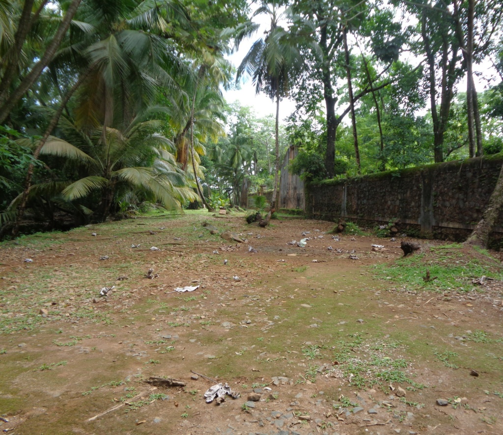 La Guyane en 2018  - Page 17 Dsc01123