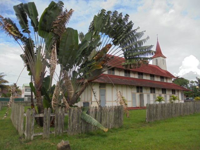La Guyane en 2018 - Page 6 Dsc09114