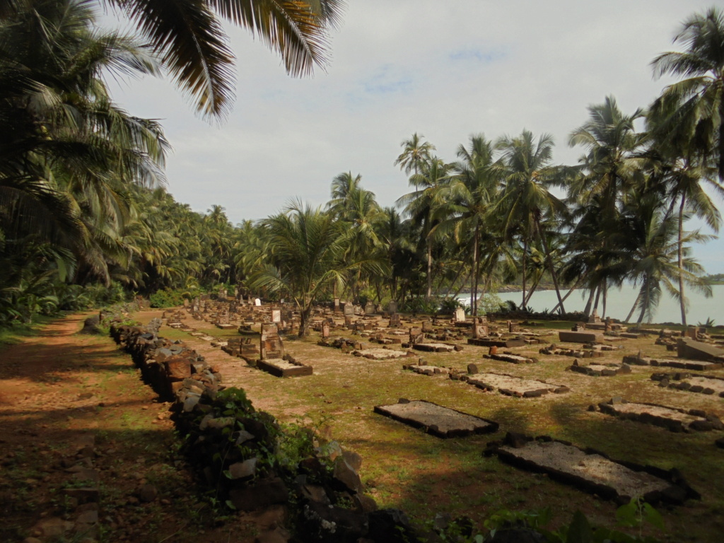 La Guyane en 2018  - Page 17 Dsc09535