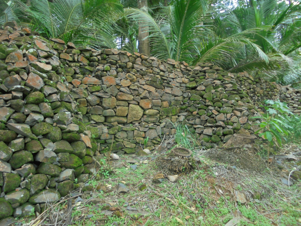 La Guyane en 2018 - Page 17 Dsc09546