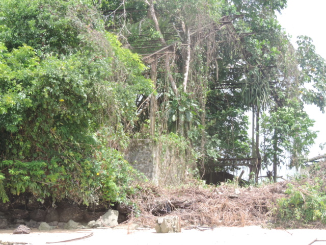La Guyane en 2018 - Page 5 Dscn0111