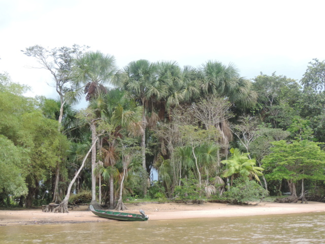 La Guyane en 2018 - Page 5 Dscn0113