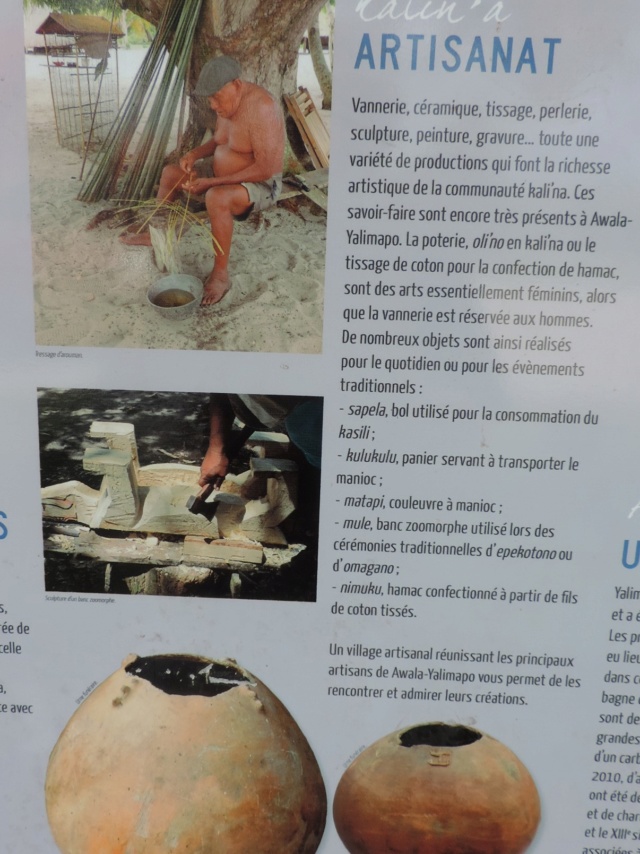 La Guyane en 2018 - Page 6 Dscn0225