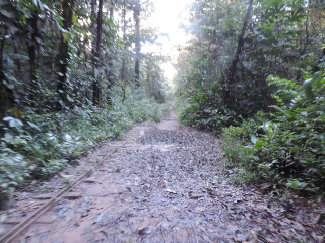 La Guyane en 2018 - Page 8 Dscn0339