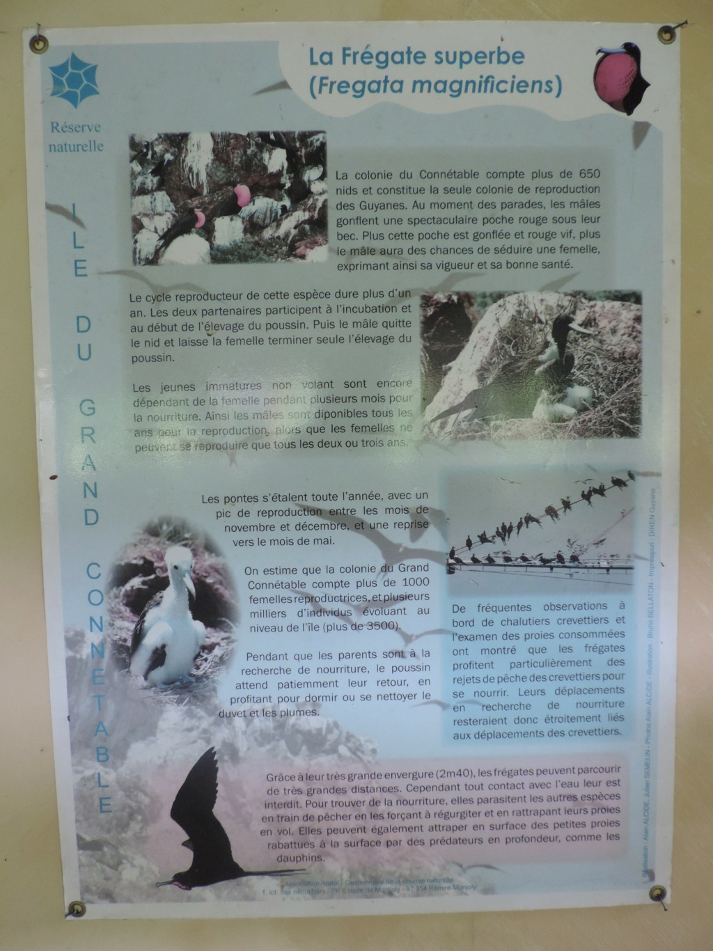 La Guyane en 2018 - Page 10 Dscn9624
