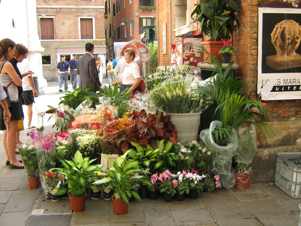 Venise paysages et jardins Morgan25