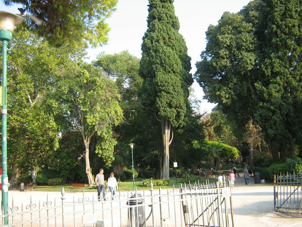 Venise paysages et jardins Morgan44