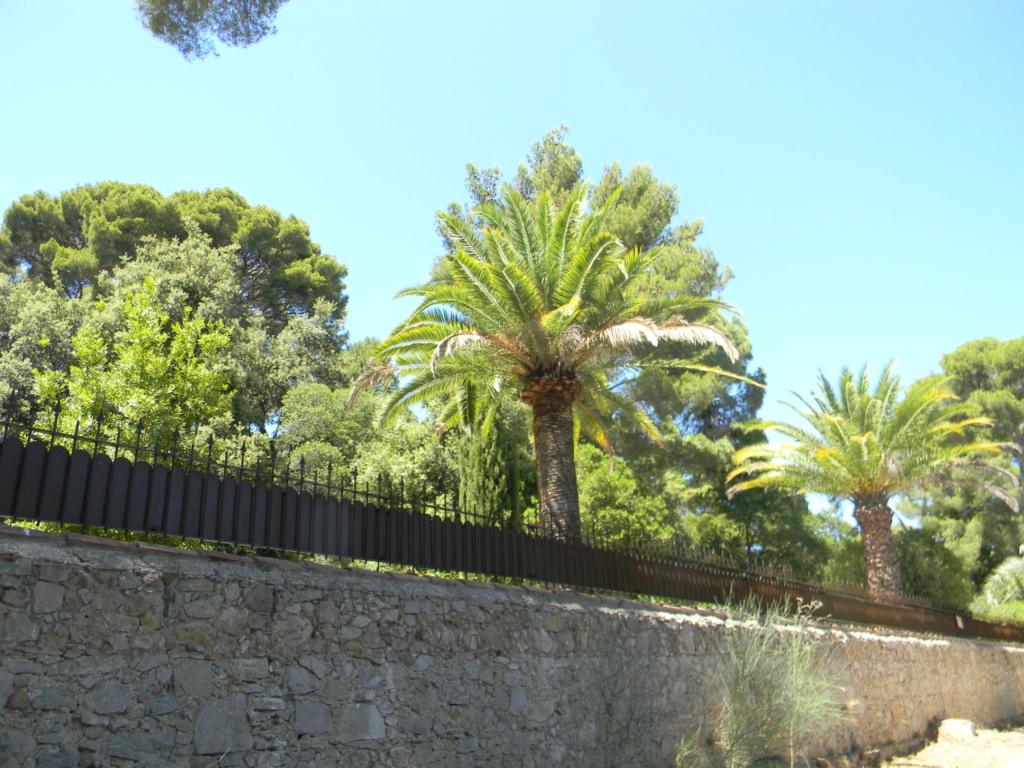 Vieilles propriétés et vieux jardins méditerranéns  Planti17