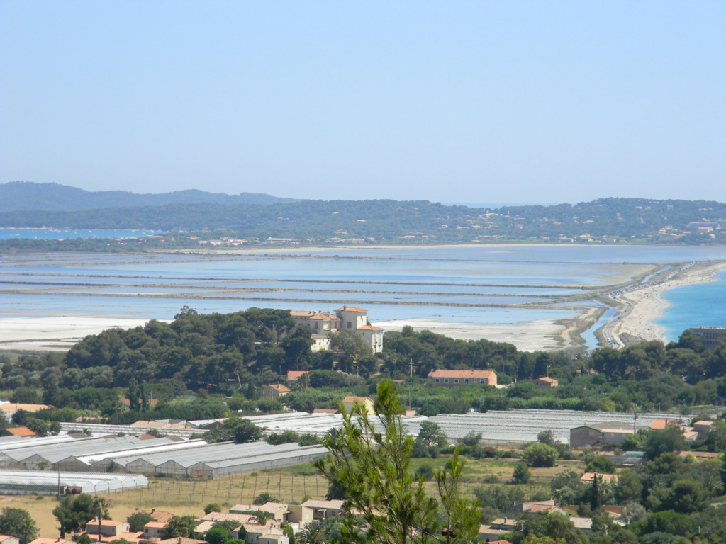 Vieilles propriétés et vieux jardins méditerranéns  Planti23