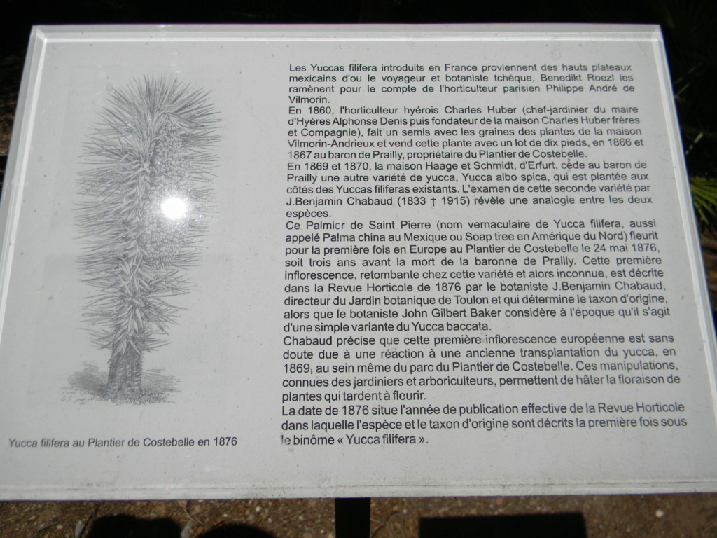 Vieilles propriétés et vieux jardins méditerranéns - Page 2 Planti36