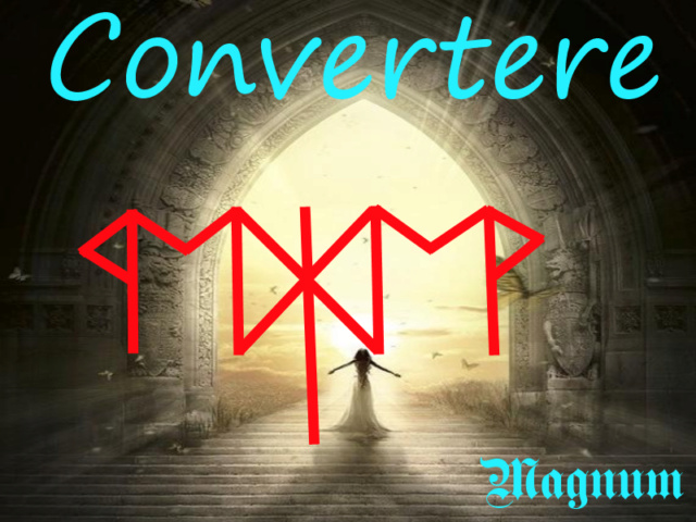 Став "Convertere". Автор Magnum Conver10