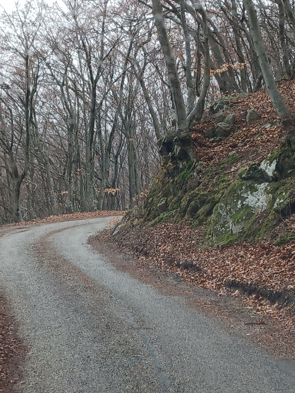 [07] [02/03/2024] XIIIème Route de la Châtaigne  - Page 2 00611