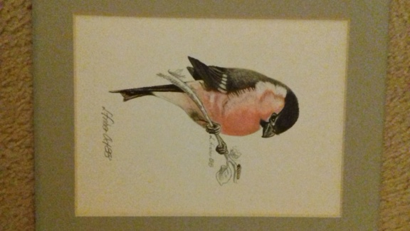 Bird prints by L Fisher - seeking info on artist 20230211