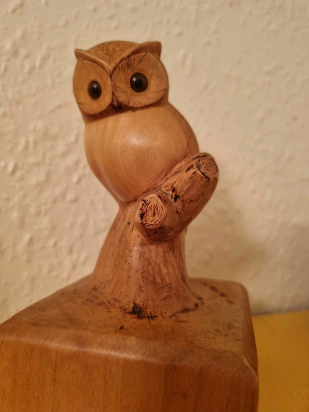 Owl by Tom Leask 46150511