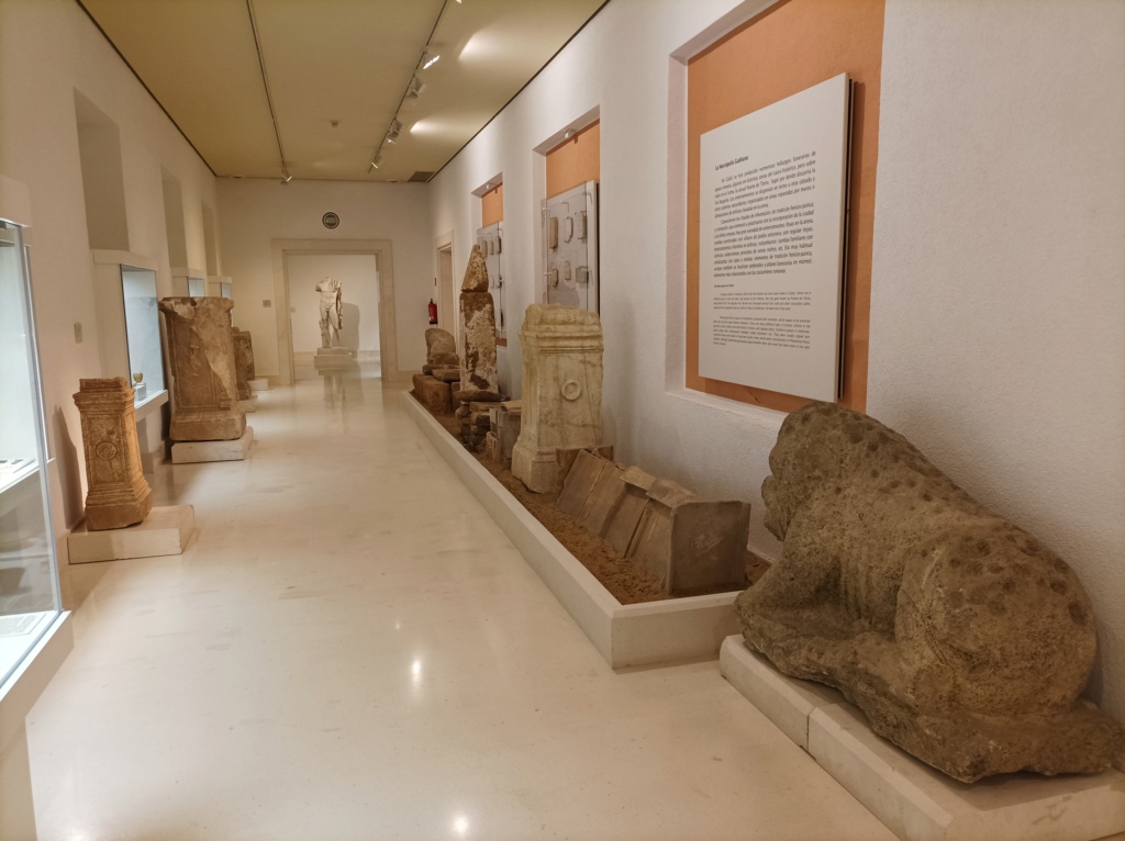 Sección numismática museo de Cádiz Img_2034