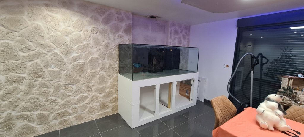 Ma nouvelle installation 1000l avec fish  room 20201210