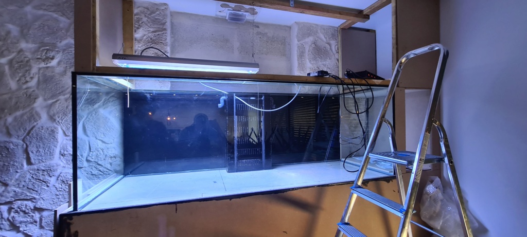 Ma nouvelle installation 1000l avec fish  room 20210210