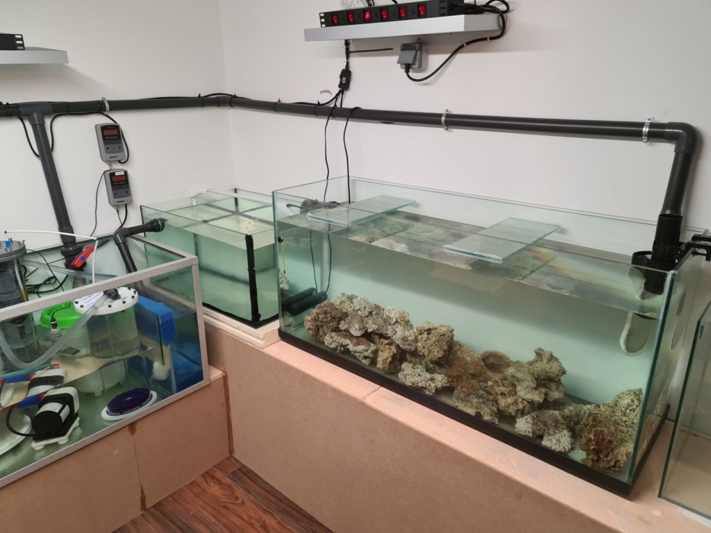 Ma nouvelle installation 1000l avec fish  room 20210315