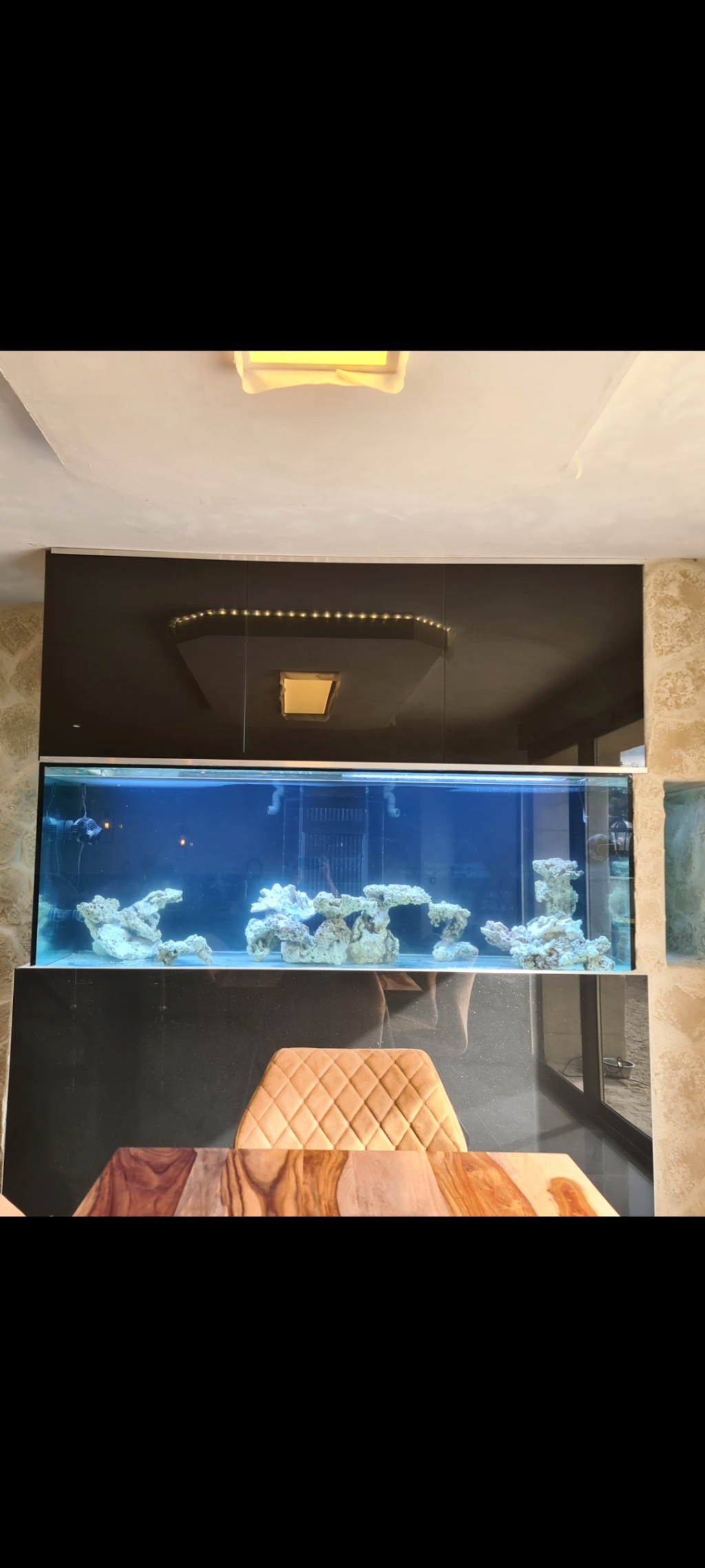 Ma nouvelle installation 1000l avec fish  room Screen14