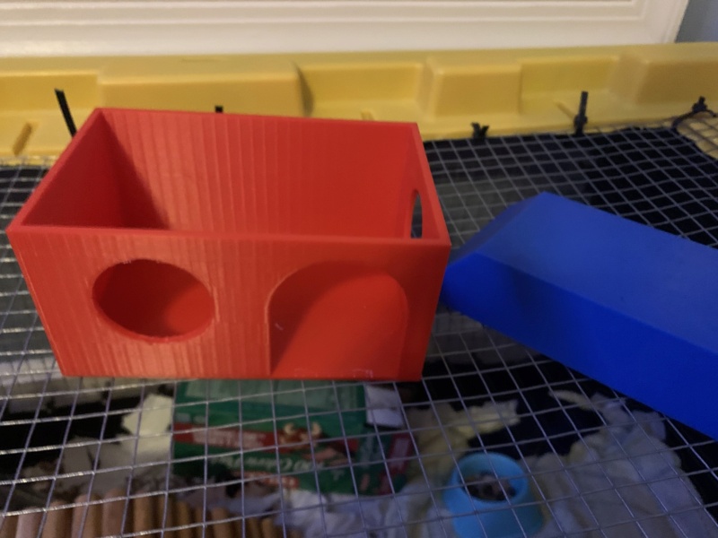 3D Printed Mouse House Img_5811