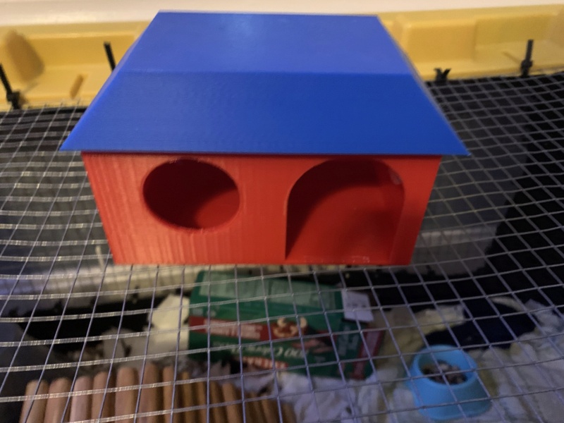 3D Printed Mouse House Img_5812