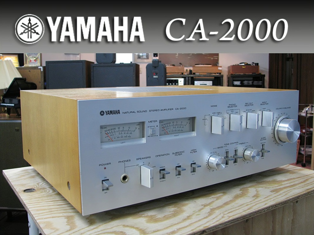 Yamaha AX vs AS 2_yama10