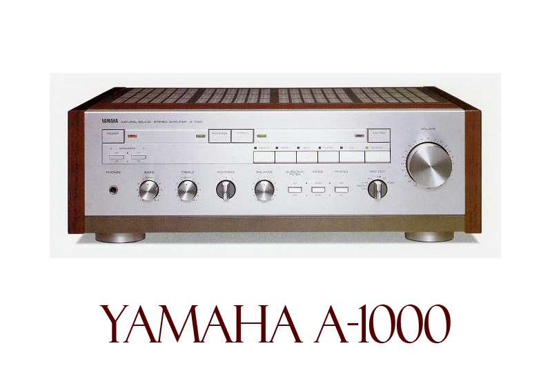 Yamaha AX vs AS 2_yama11