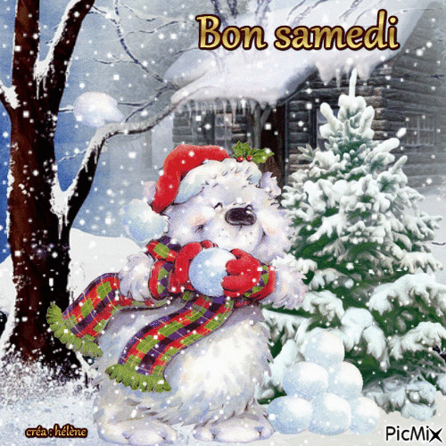 Bnjour/bonsoir de décembre 2022 - Page 3 Samedi10