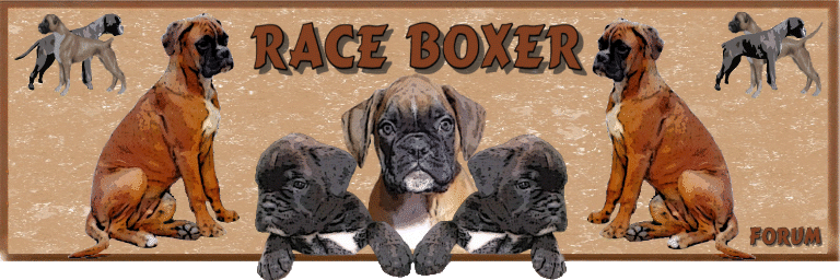 Race.Boxer