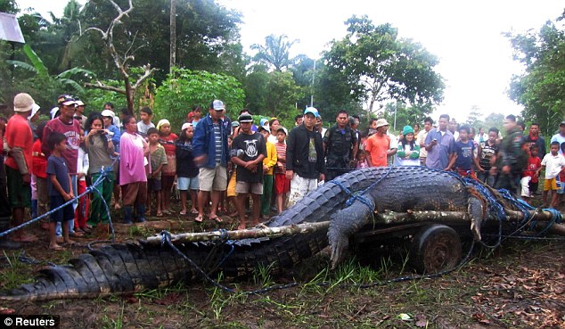 Plus gros crocodile du monde aux Philippines : 6m40 Philip10