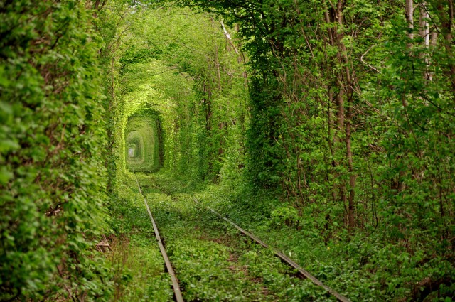Le merveilleux Tunnel of Love en Ukraine Tunnel10