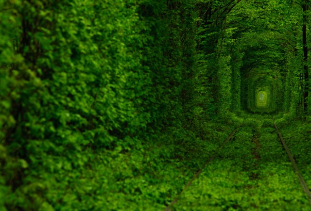 Le merveilleux Tunnel of Love en Ukraine Tunnel11