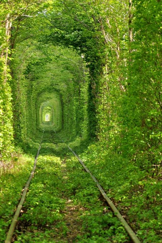 Le merveilleux Tunnel of Love en Ukraine Tunnel12