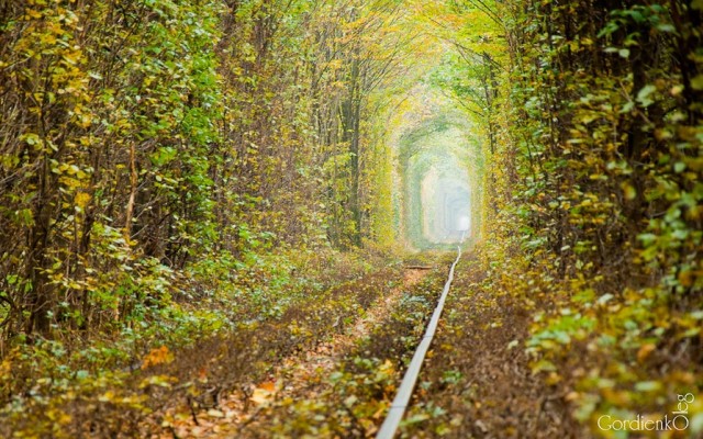 Le merveilleux Tunnel of Love en Ukraine Tunnel16