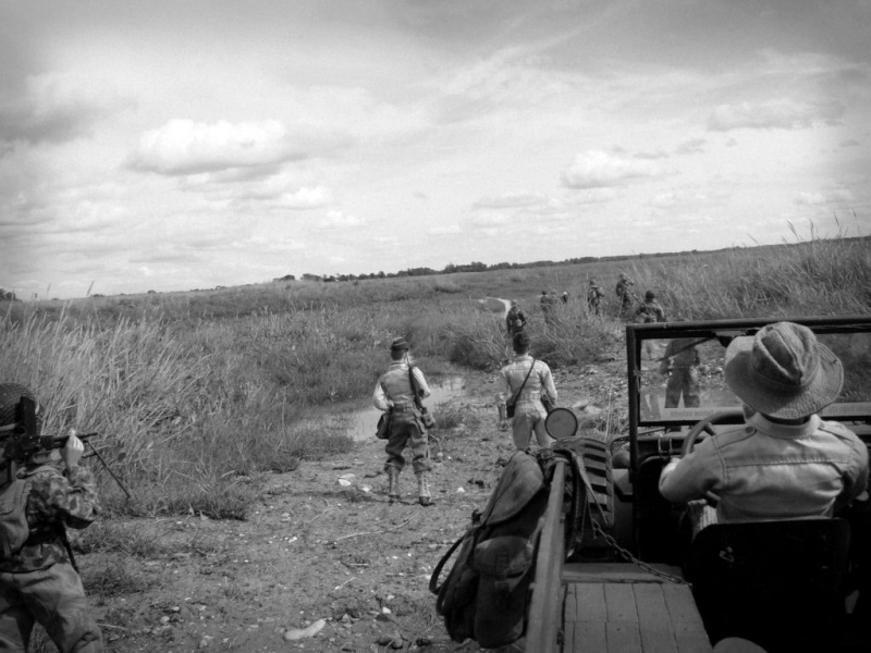 Opration dans le delta du Tonkin 20110826