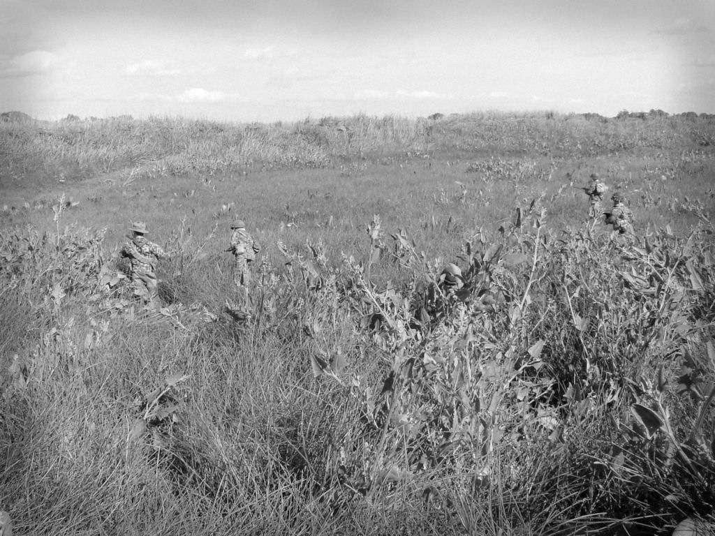 Opration dans le delta du Tonkin 20110869