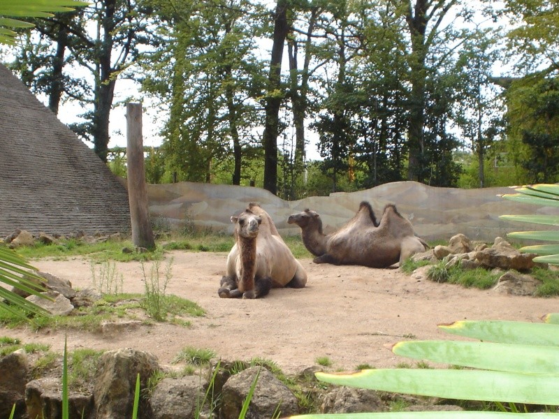 le zoo d'amnville a metz Vacanc23