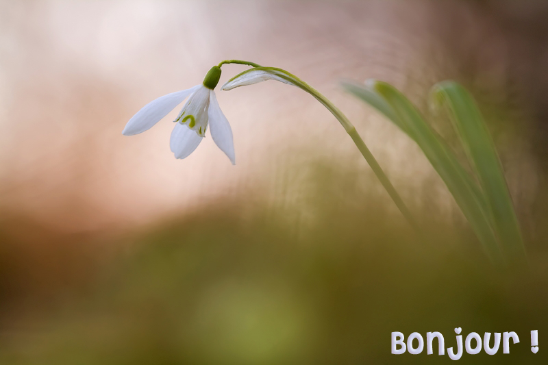 bonzour bonne zournée et bonne nuit notre ti nid za nous - Page 29 193