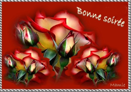 BONNE SOIREE Bonne_13